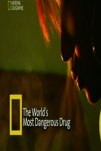 Самый опасный наркотик / The World's most dangerous drug (2006)